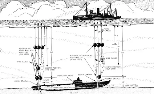 Squalus Diagram