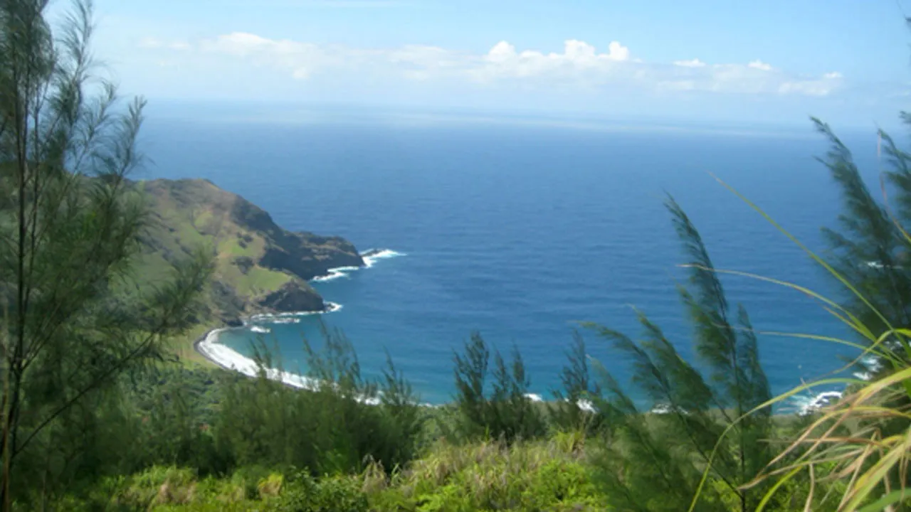 Photograph of toa trees, also known as ironwood, overlooking the Pacific Ocean at Hanateio, a formerly inhabited valley on the Marquesan island of Tahuata.
